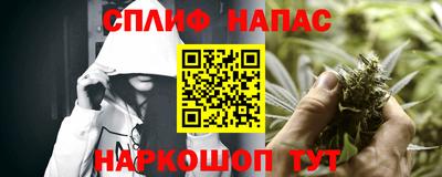 шишки Будённовск