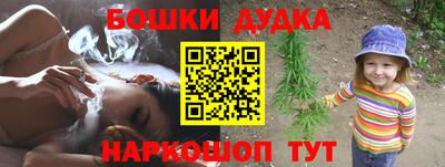 шишки Будённовск