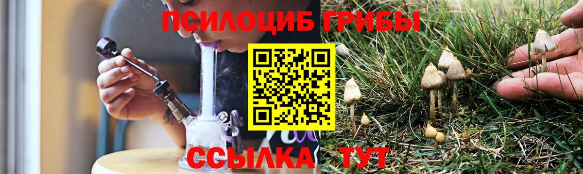 Богородицк  Псилоцибиновые грибы мицелий  Псилоцибиновые грибы ЛСД  Вход с VPN 